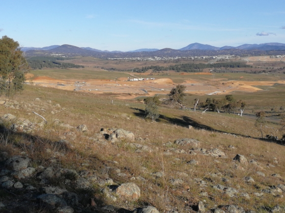 Whitlam from the east boundary fence, The Pinnacle Offset Area, The Pinnacle, Belconnen